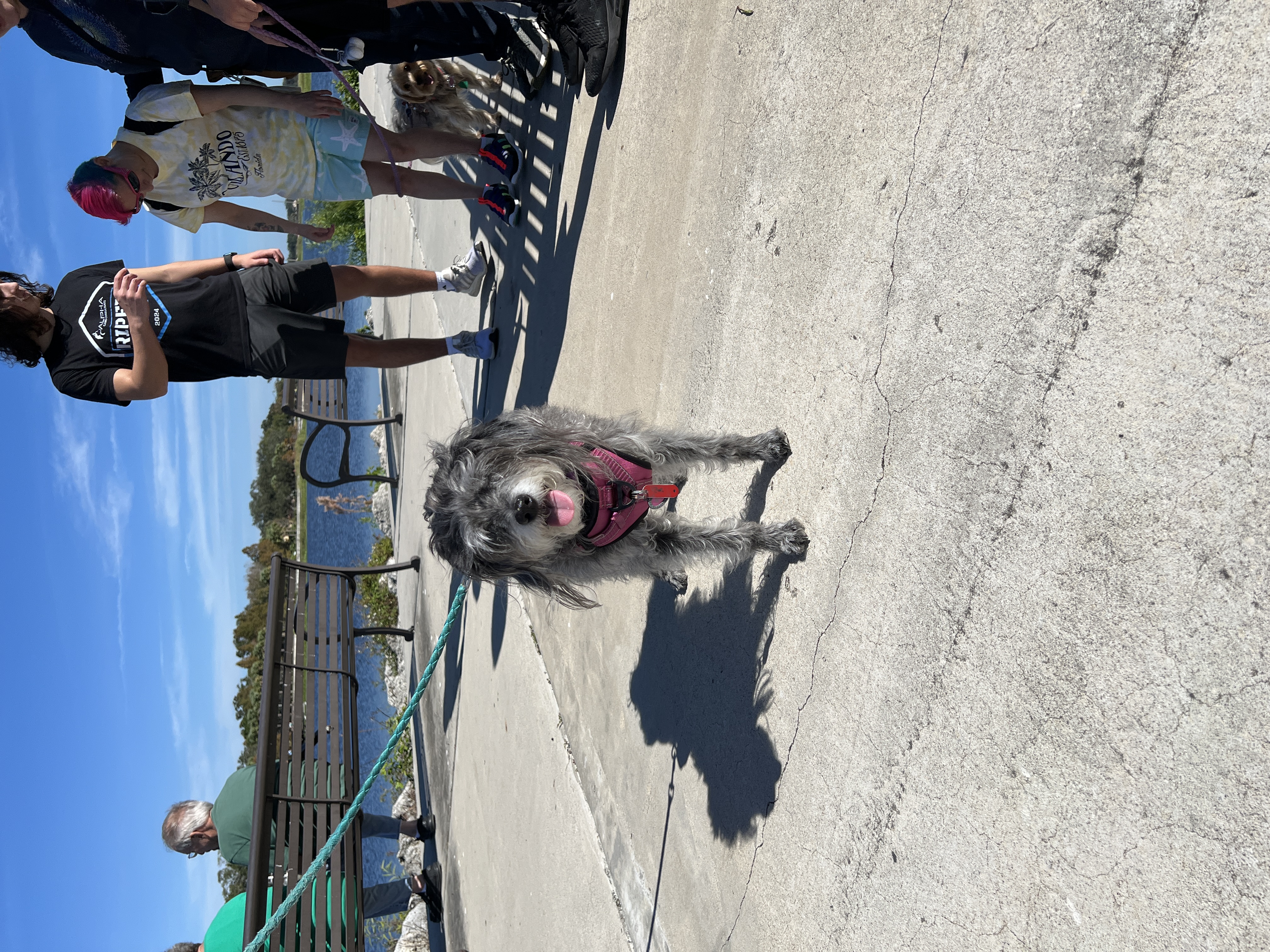 ./2024/12 - Thanksgiving/IMG_3923.JPG